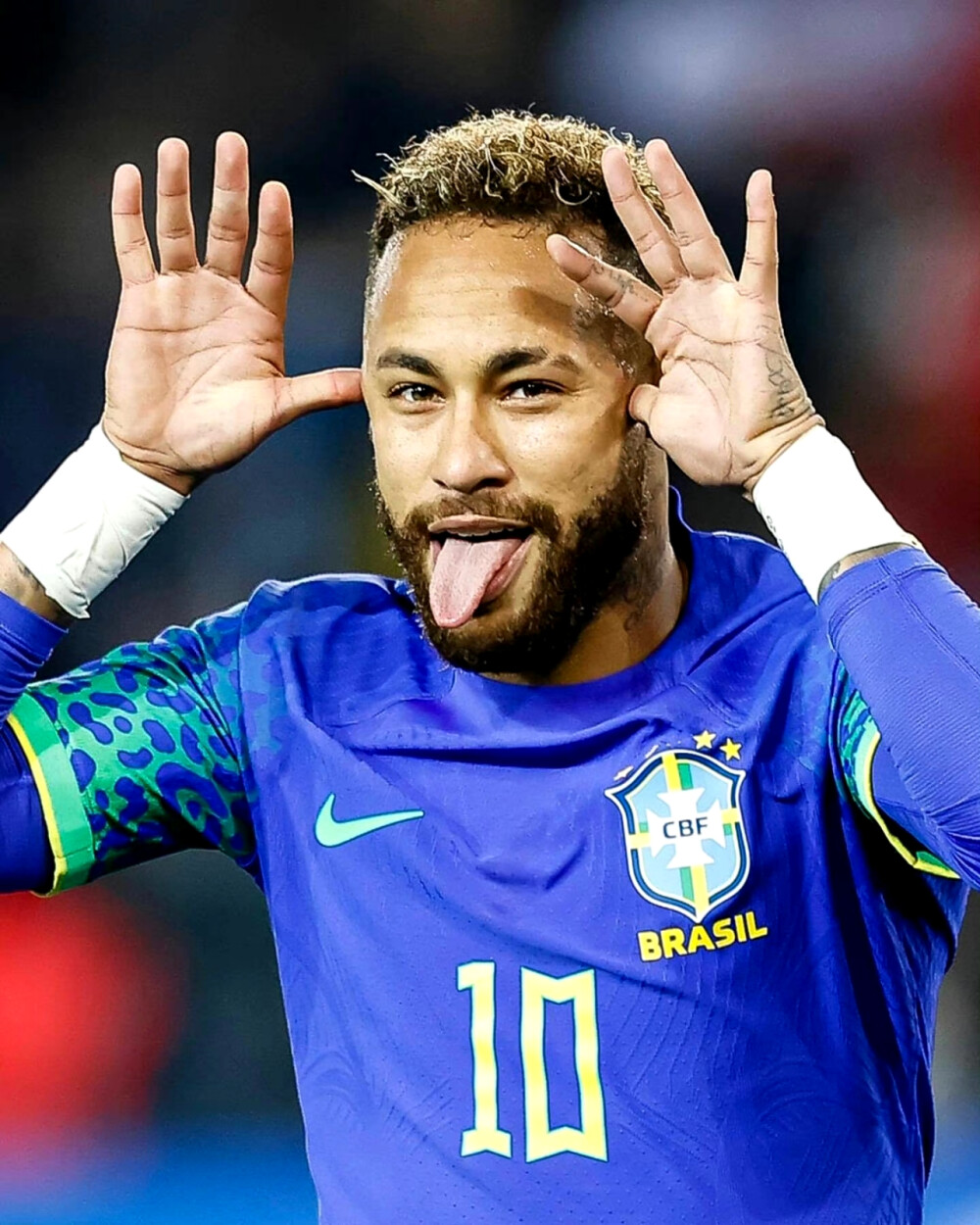 王峰的成功 王峰的成功