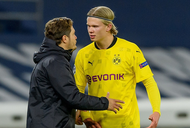 优先修补肋 优先修补肋